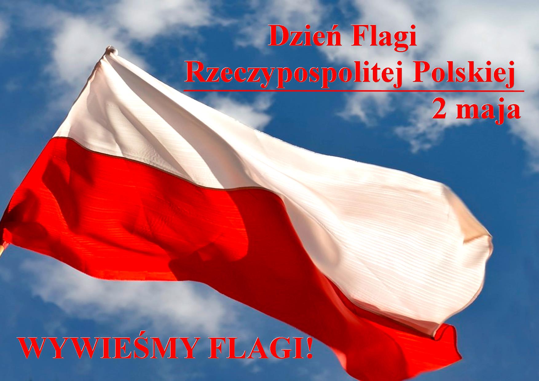 Zdjęcie flagi Polski w tle nieba
