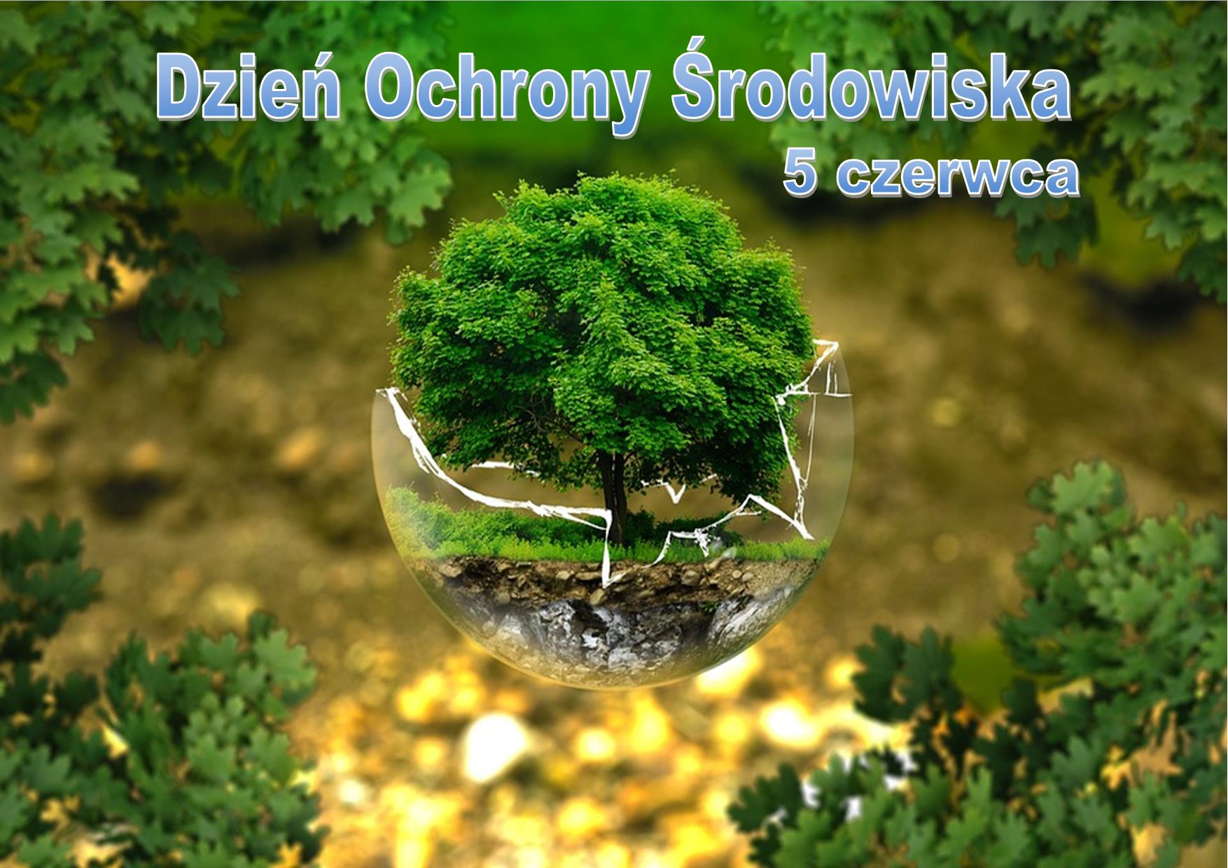 Zdjęcie przyrody - Dzień Ochrony Środowiska