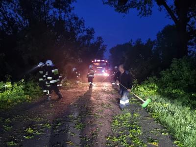Zdjęcie skutków burzy w miejscowości Szczecyn