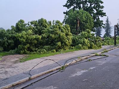 Zdjęcie skutków burzy w miejscowości Szczecyn