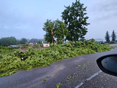 Zdjęcie skutków burzy w miejscowości Szczecyn