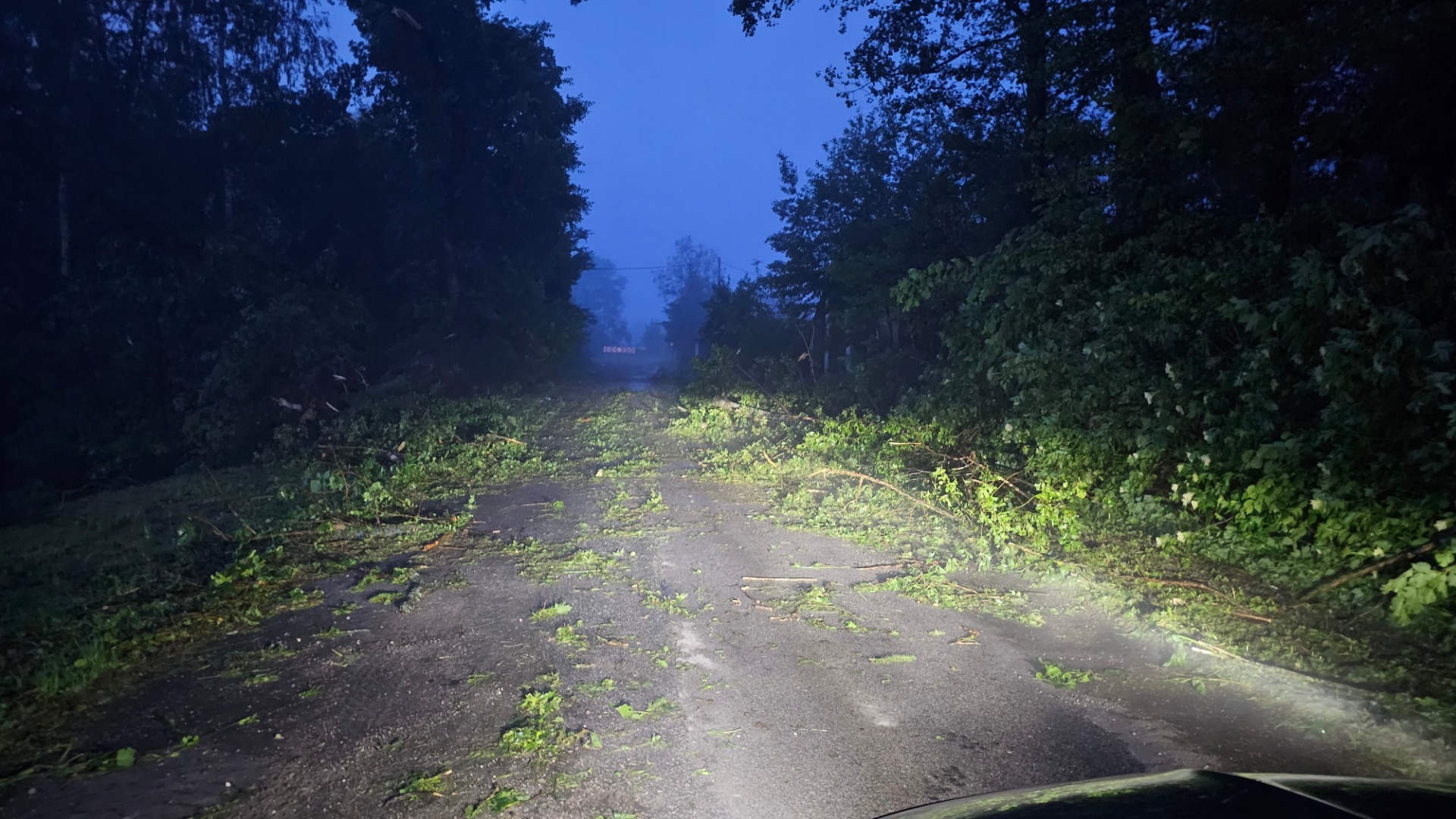 Zdjęcie skutków burzy w miejscowości Szczecyn