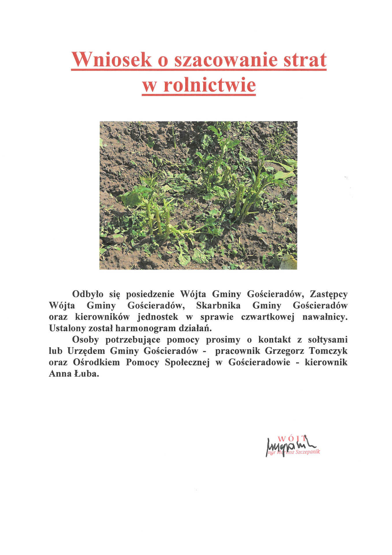 Zdjęcie ziemniaków i informacji dotyczącej wniosku o szacowanie strat w rolnictwie