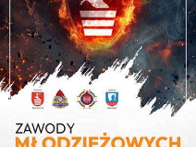 Zdjęcie plakatu z herbem Powiatu Kraśnickiego i płomieni