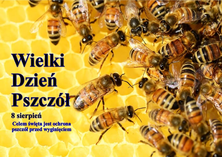 Zdjęcie pszczół