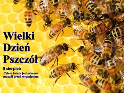 Zdjęcie pszczół