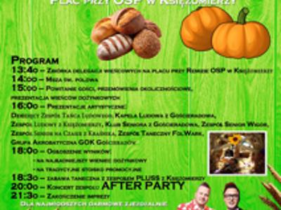 Zdjęcie plakatu dożynkowego ze zbożem dyniami, pieczywem i zdjęciem zespołu
