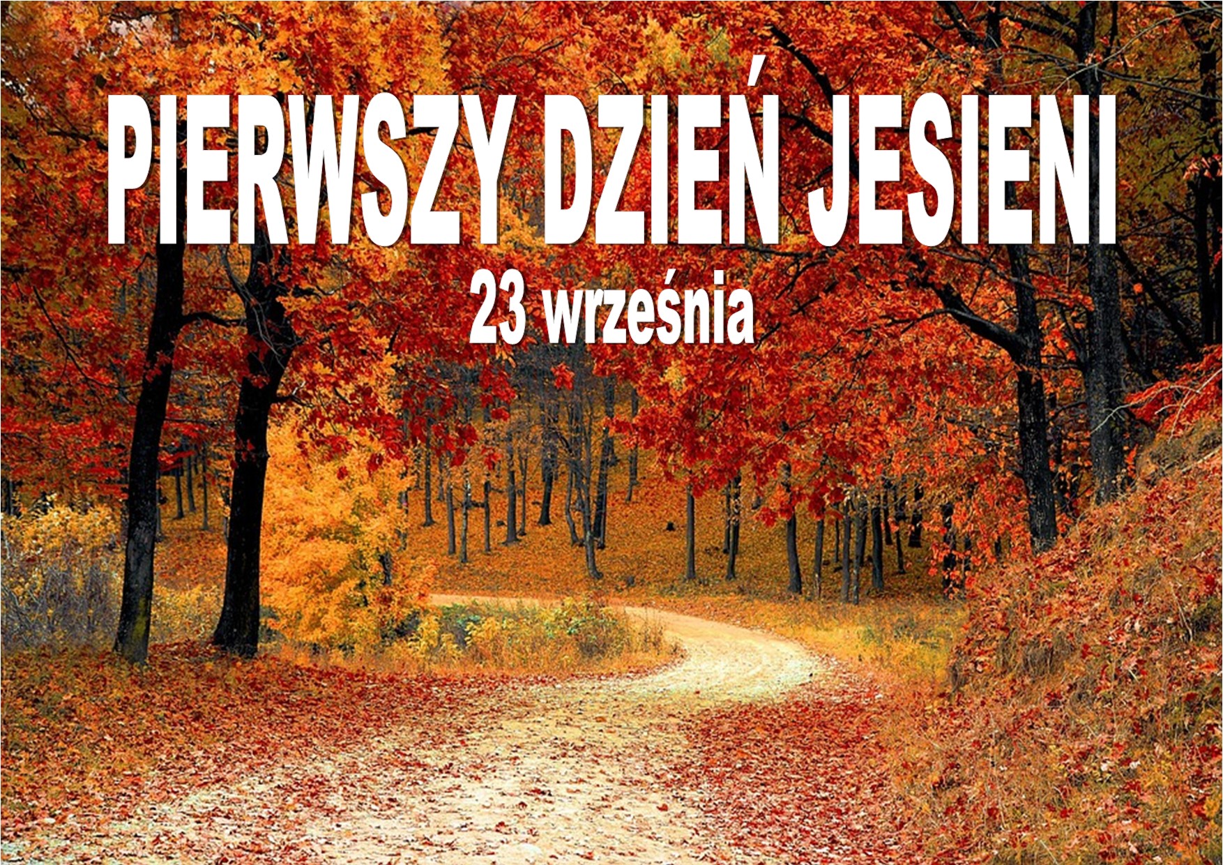 Zdjęcie jesieni