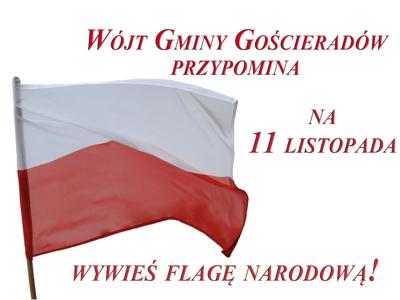 Zdjęcie flagi Polski