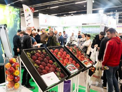 Zdjęcie Targów Sadownictwa i Warzywnictwa 