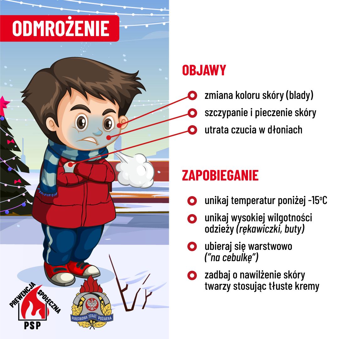 Zdjęcie grafiki dotyczącej mrozów