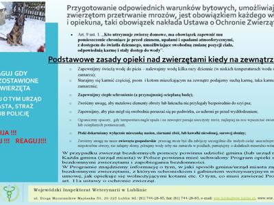 Zdjęcie ulotki - opieka nad zwierzetami w zimie.jpg