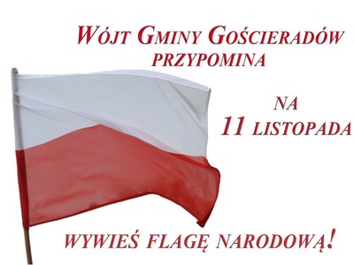 Polska flaga na białym tle