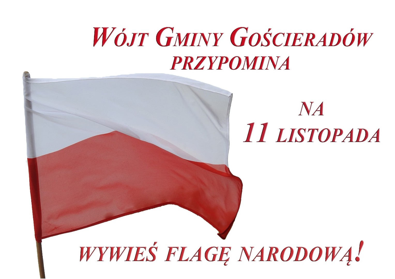 Polska flaga na białym tle 