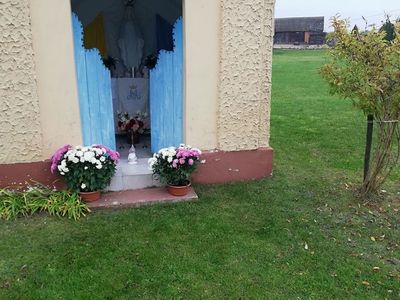 Chryzantemy przy przydrożnej kapliczce