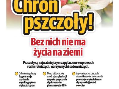 Pierwsza strona ulotki z tekstami:
Pszczoły są najważniejszym zapylaczem w uprawach roślin rolniczych, warzywnych i sadowniczych.
O Ochrona zapylaczy to gwarancja uzyskania wysokiego plonu większości upraw
O Obecność pszczoły miodnej na plantacji rzepaku przyczynia się do wzrostu plonu nawet o 30%
O Zapylanie przez pszczoły drzew i krzewów owocowych powoduje wykształcenie się wysokiej jakości owoców
W Europie 85% gatunków roślin i 70% produkcji żywności zależy od pszczół!
