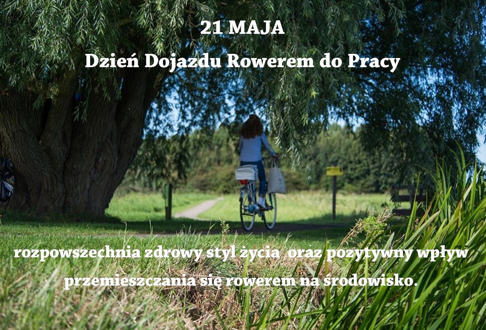 Kobieta jadąca rowerem