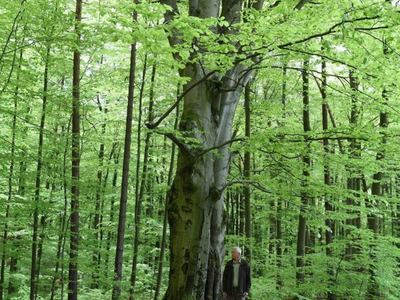 Rezerwat przyrody Doły Szczeckie