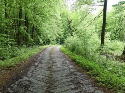 Rezerwat przyrody Doły Szczeckie