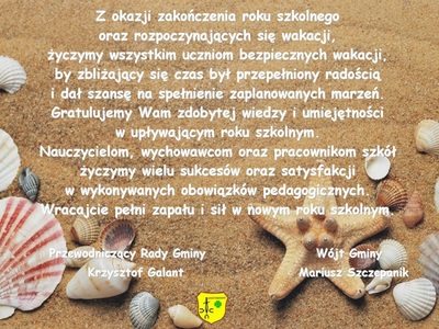 Muszle na plaży
