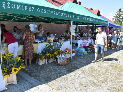 IX WAKACYJNY PIKNIK NA STAWKU GRAMY I WALCZYMY DLA PAWEŁKA