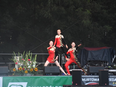 Zdjęcie z Dożynek w Liśniku Dużym