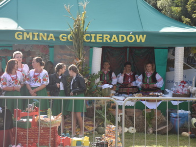 Zdjęcie z Dożynek w Liśniku Dużym