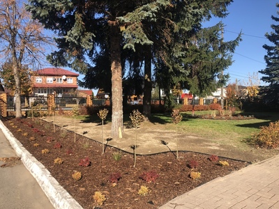 Widok otwieranego ogródka