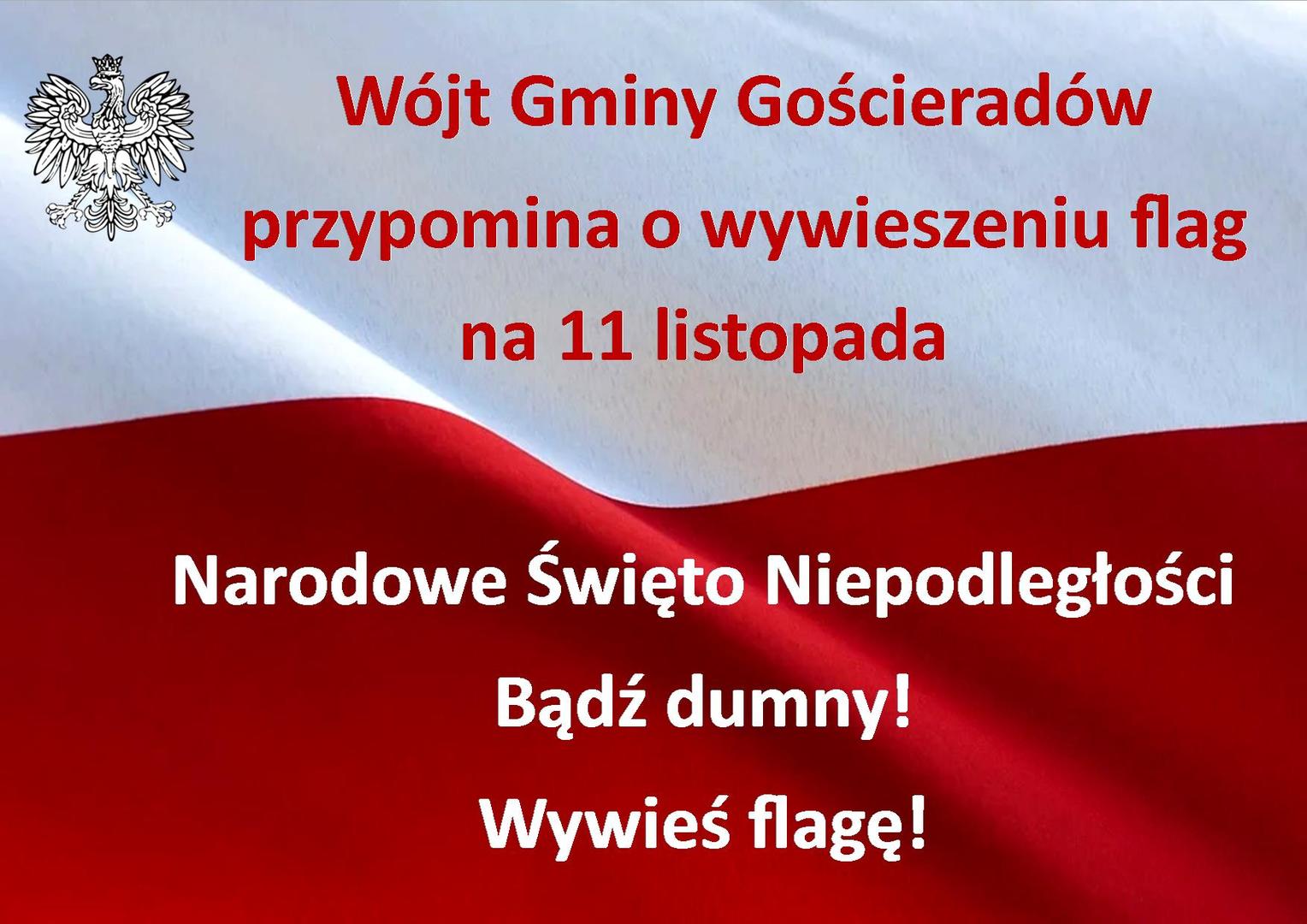 Zdjęcie flagi i godła Polski