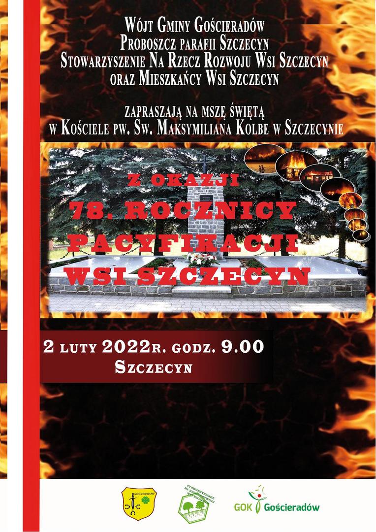Zdjęcie pomnika we wsi Szczecyn