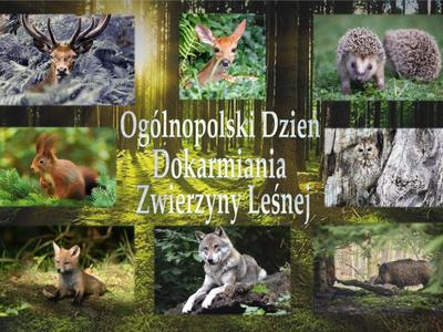 Zdjęcia zwierzyny leśnej
