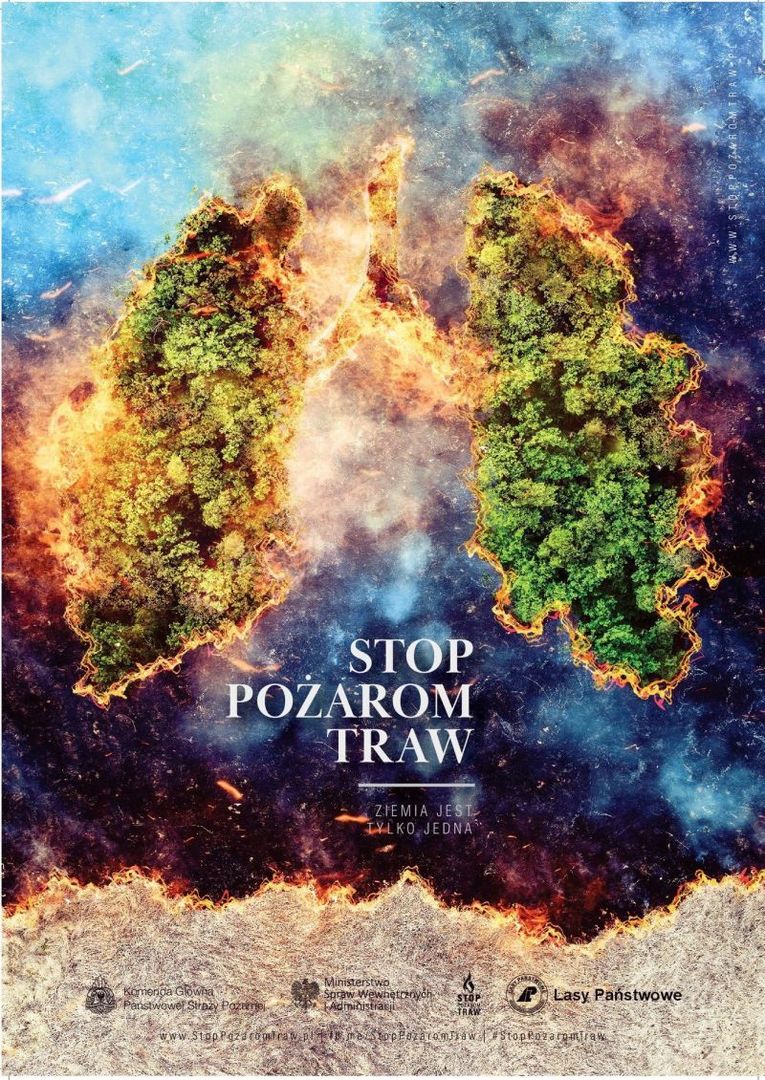 Zdjęcie wypalania traw