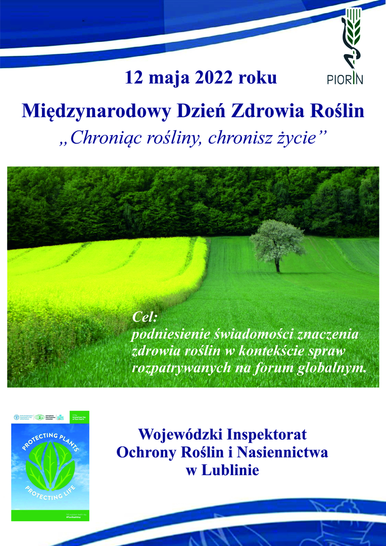 Zdjęcie pól i lasu