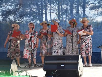 Zdjęcie z "Nocy Świętojańskiej w Wólce Gościeradowskiej"
