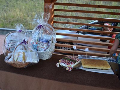 Zdjęcie z ,,Letniej nocy z Gwiazdami" w Wólce Gościeradowskiej