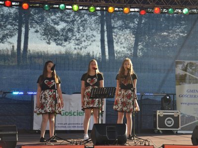 Zdjęcie z ,,Letniej nocy z Gwiazdami" w Wólce Gościeradowskiej