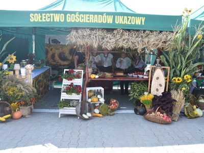 Zdjęcie z dożynek