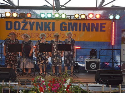 Zdjęcie z dożynek