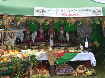 Zdjęcie z Dożynek Powiatowo - Gminnych w Trzydniku Dużym