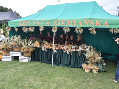 Zdjęcie z Dożynek Powiatowo - Gminnych w Trzydniku Dużym