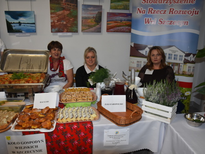 Zdjęcie z Obchodów Europejskich Dni Dziedzictwa