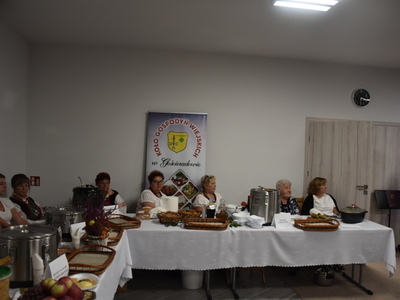 Zdjęcie z Obchodów Europejskich Dni Dziedzictwa