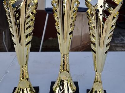 Zdjęcie z Międzygminnych Zawodów Sportowo - Pożarniczych