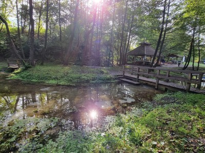 Zdjęcie przedstawiające uczestników w "strojach z epoki"