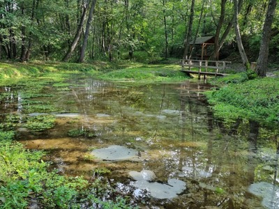Zdjęcie Źródlisk w Łanach