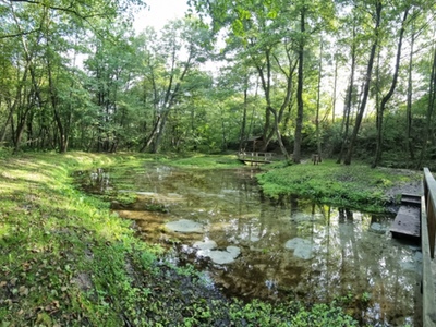 Zdjęcie Źródlisk w Łanach