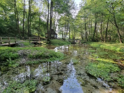Zdjęcie Źródlisk w Łanach