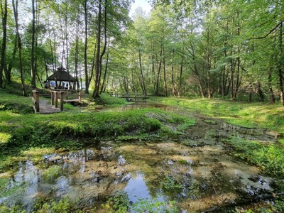 Zdjęcie Źródlisk w Łanach