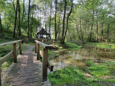 Zdjęcie Źródlisk w Łanach