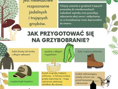 Zdjęcie ulotki dot. zatrucia grzybami